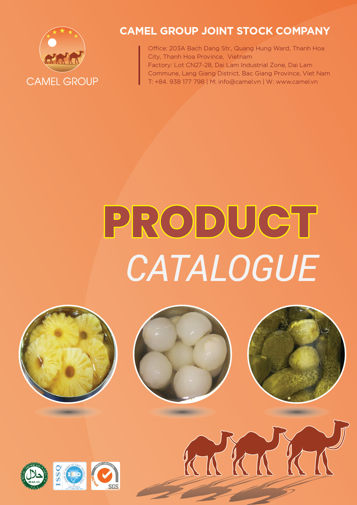 Thiết kế catalog sản phẩm đóng lon cho công ty nông sản xuất khẩu - Ảnh 2