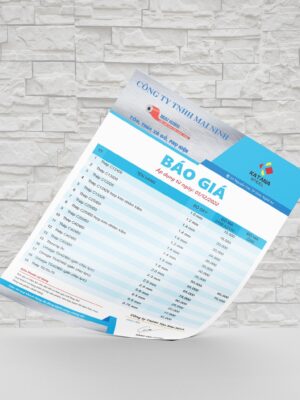 Báo giá sản phẩm thiết kế đồ họa theo phong cách riêng