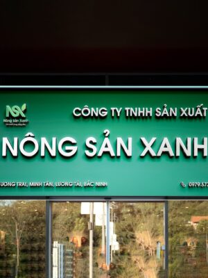 Biển công ty chữ nổi mica, nền mica