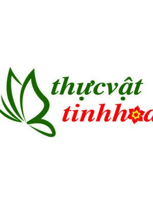 Thiết kế logo thương hiệu Thực Vật Tinh Hoa