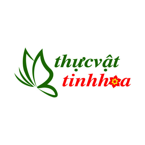Thiết kế logo thương hiệu Thực Vật Tinh Hoa
