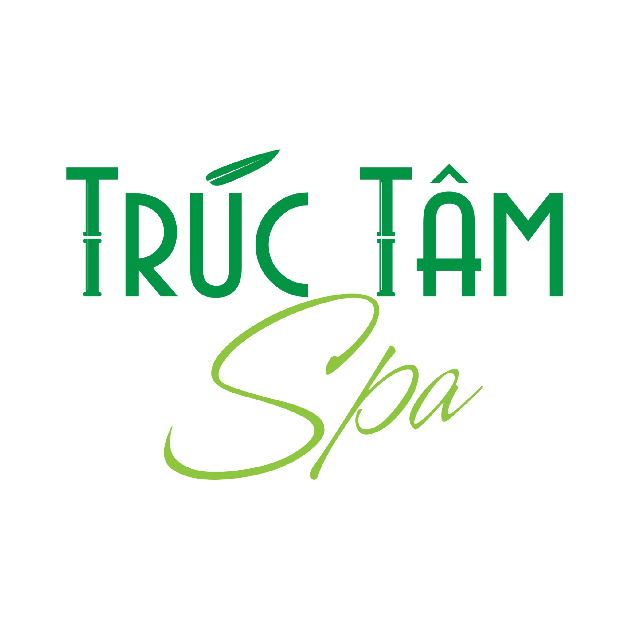 Thiết kế logo Spa Trúc Tâm - Spa and Beauty Center - Ảnh 2