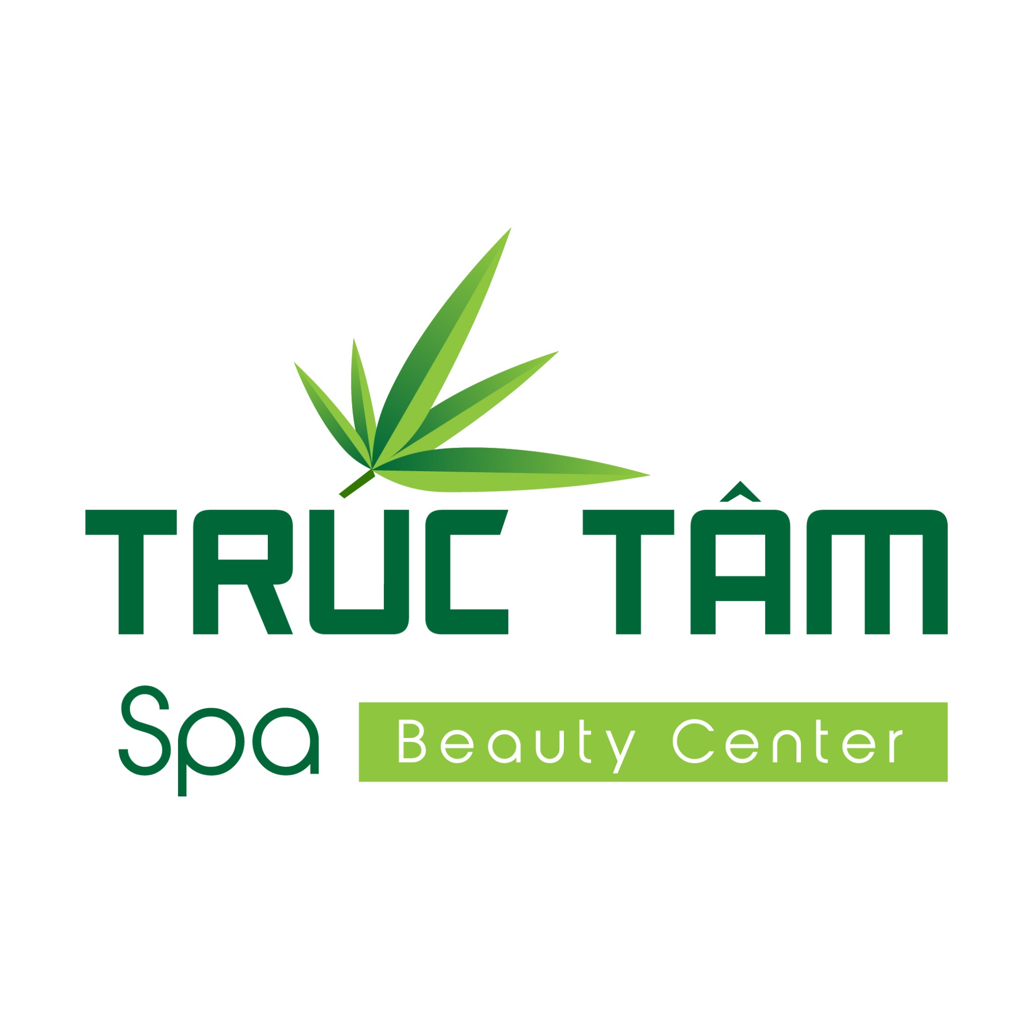 Thiết kế logo Spa Trúc Tâm - Spa and Beauty Center - Ảnh 4