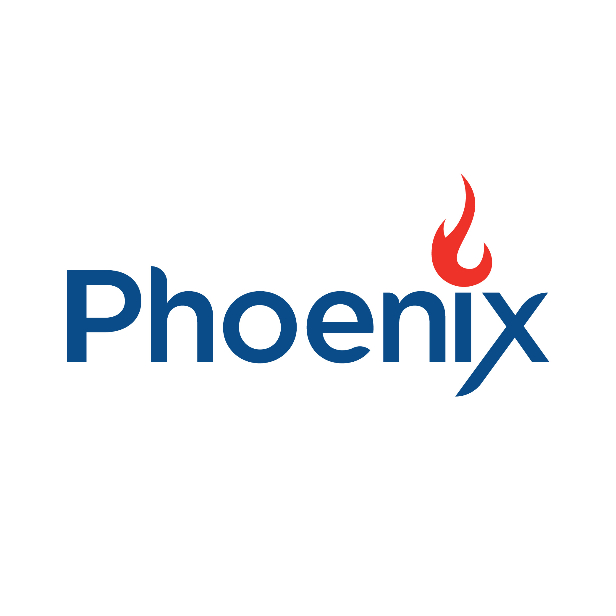 Thiết kế logo Phoenix cho doanh nghiệp cơ khí - Ảnh 3