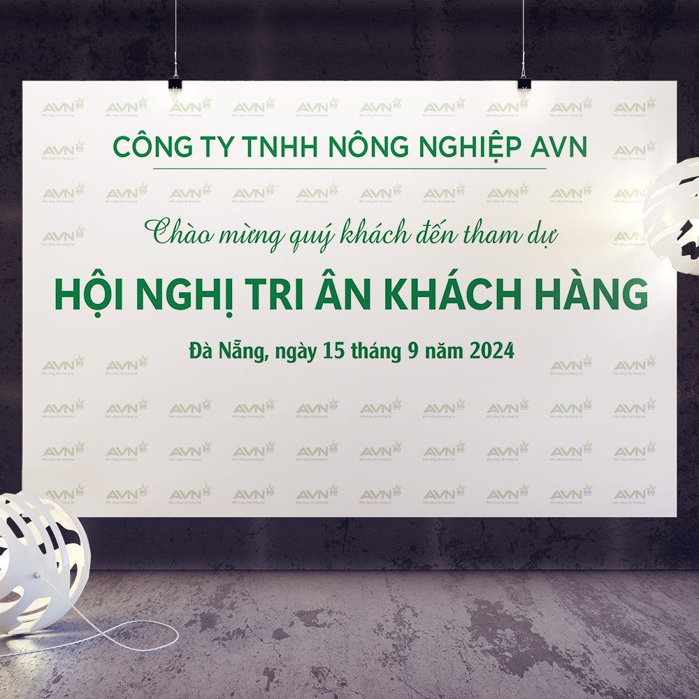 Thiết kế toàn diện sự kiện hội nghị khách hàng - Ảnh 4