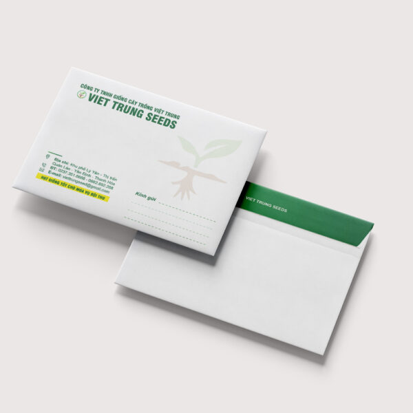 Thiết kế phong bì thư A4 A5 letter các loại nhận diện thương hiệu doanh nghiệp