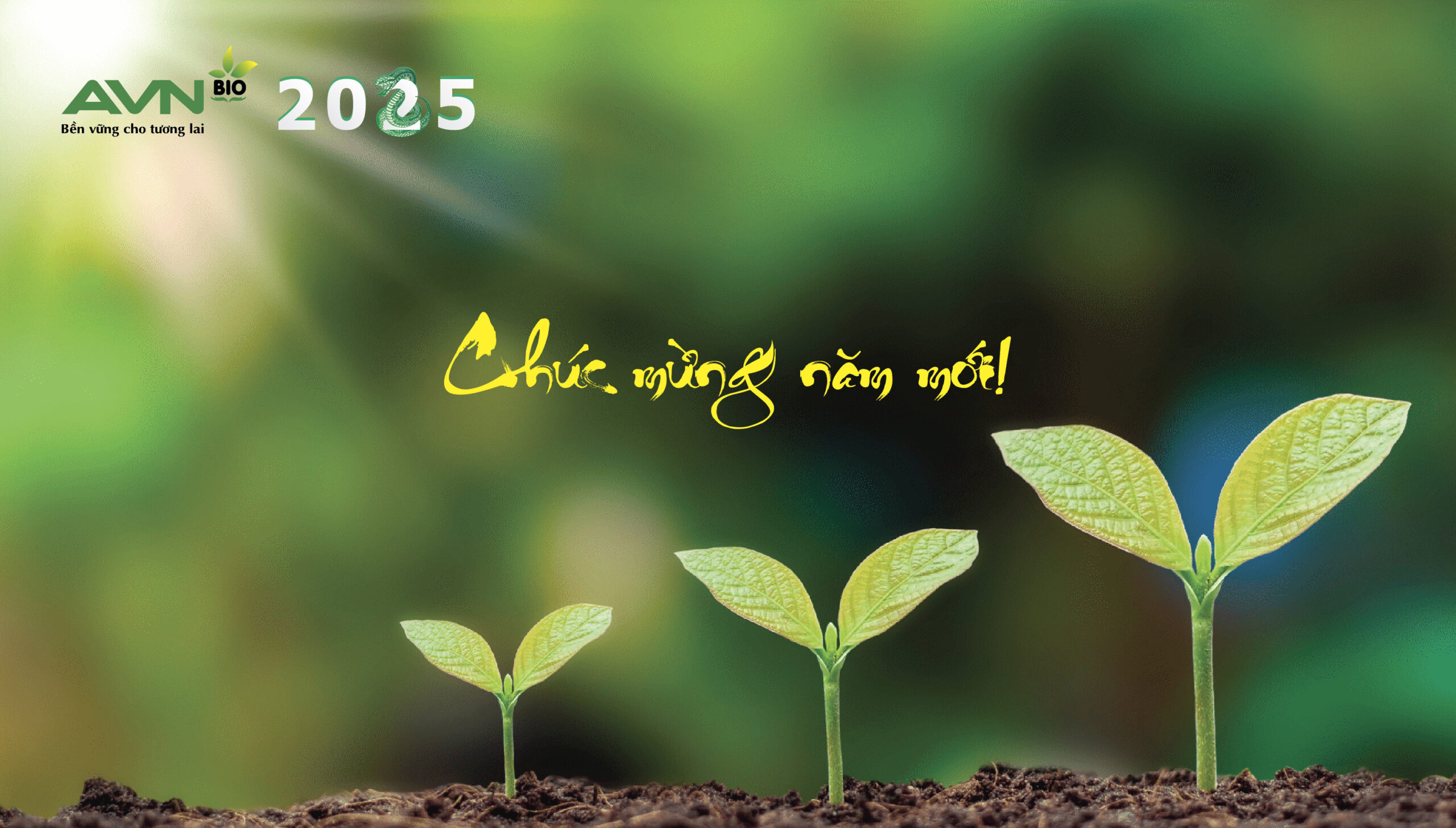Thiết kế lịch để bàn công ty nông nghiệp AVN màu xanh - Ảnh 2