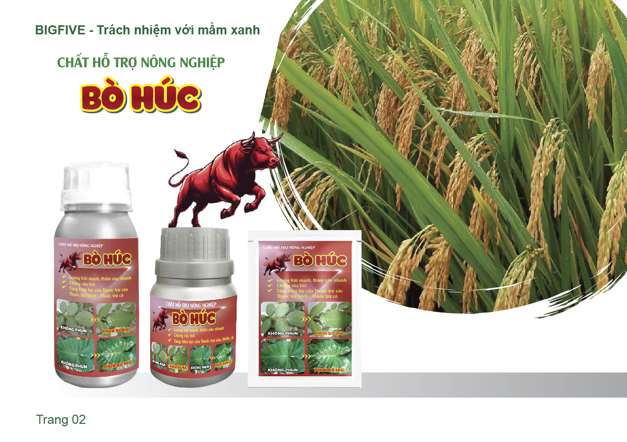 Thiết kế sổ tay sản phẩm nông nghiệp màu xanh lá cây - Ảnh 2