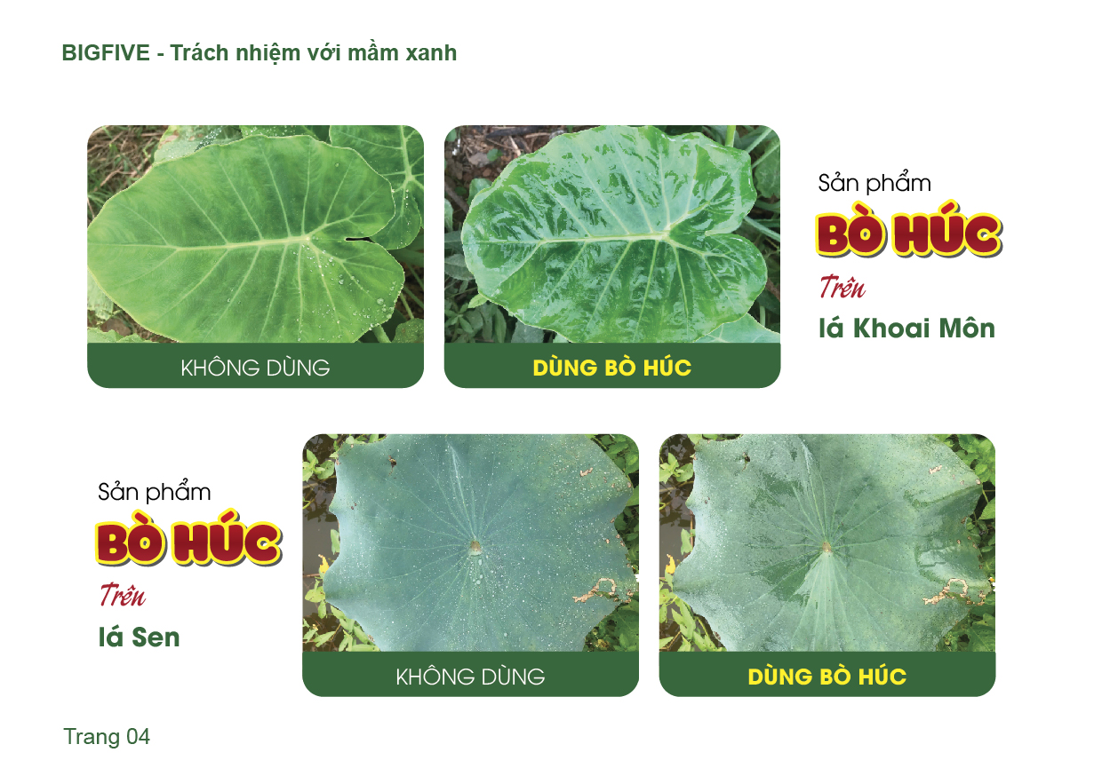 Thiết kế sổ tay sản phẩm nông nghiệp màu xanh lá cây - Ảnh 3