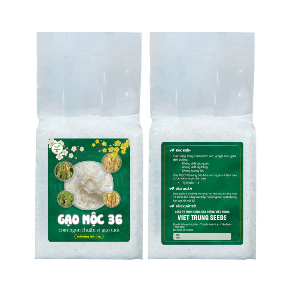 Thiết kế tem nhãn bao bì túi gạo 2kg màu xanh