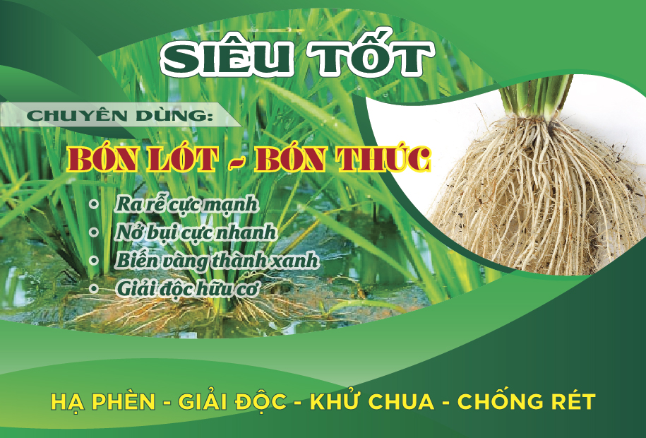 Thiết kế tờ rơi sản phẩm Nông nghiệp màu xanh - Ảnh 4