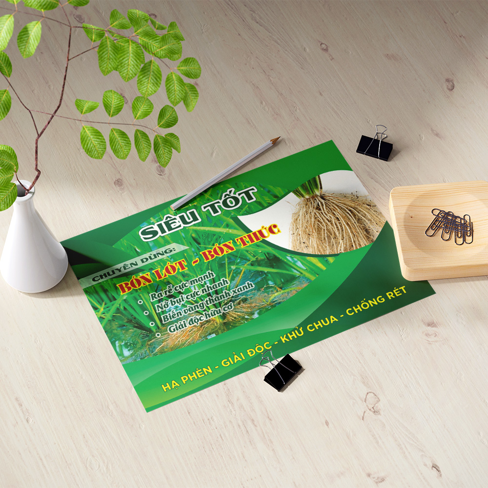 Thiết kế tờ rơi sản phẩm Nông nghiệp màu xanh - Ảnh 2