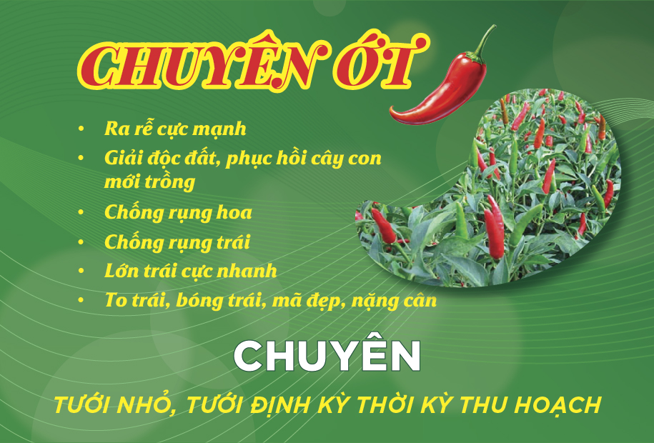 Thiết kế tờ rơi phân bón dinh dưỡng cho cây ớt - Ảnh 3