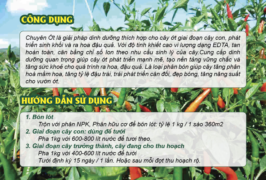 Thiết kế tờ rơi phân bón dinh dưỡng cho cây ớt - Ảnh 4