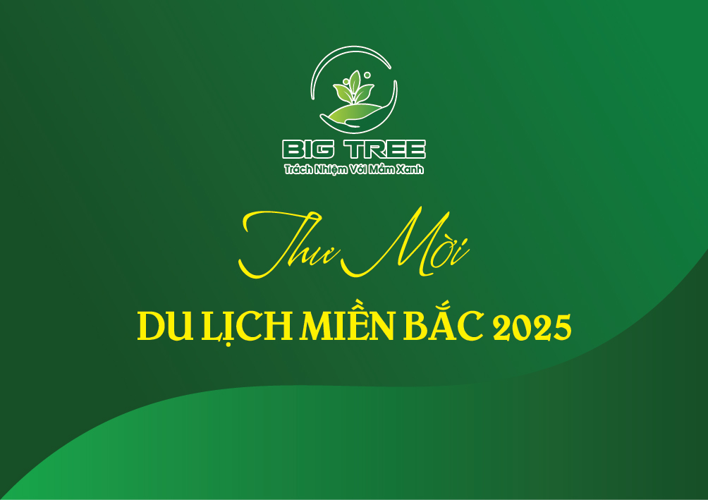 Thiết kế thư mời sự kiện du lịch màu xanh khổ ngang 17x12 cm - Ảnh 2