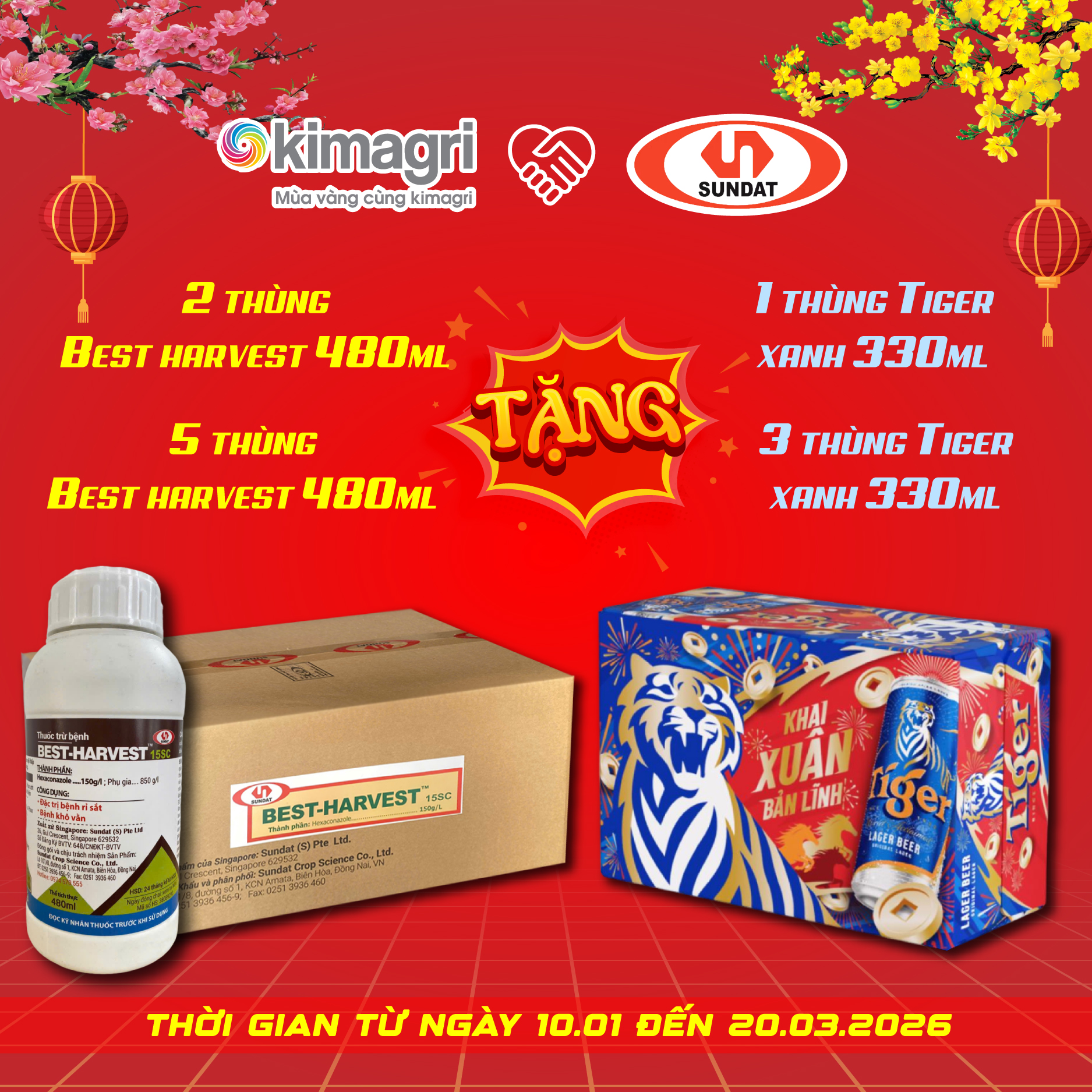 Thiết kế banner quảng cáo, tờ rơi chương trình khuyến mãi cuối năm - Ảnh 6