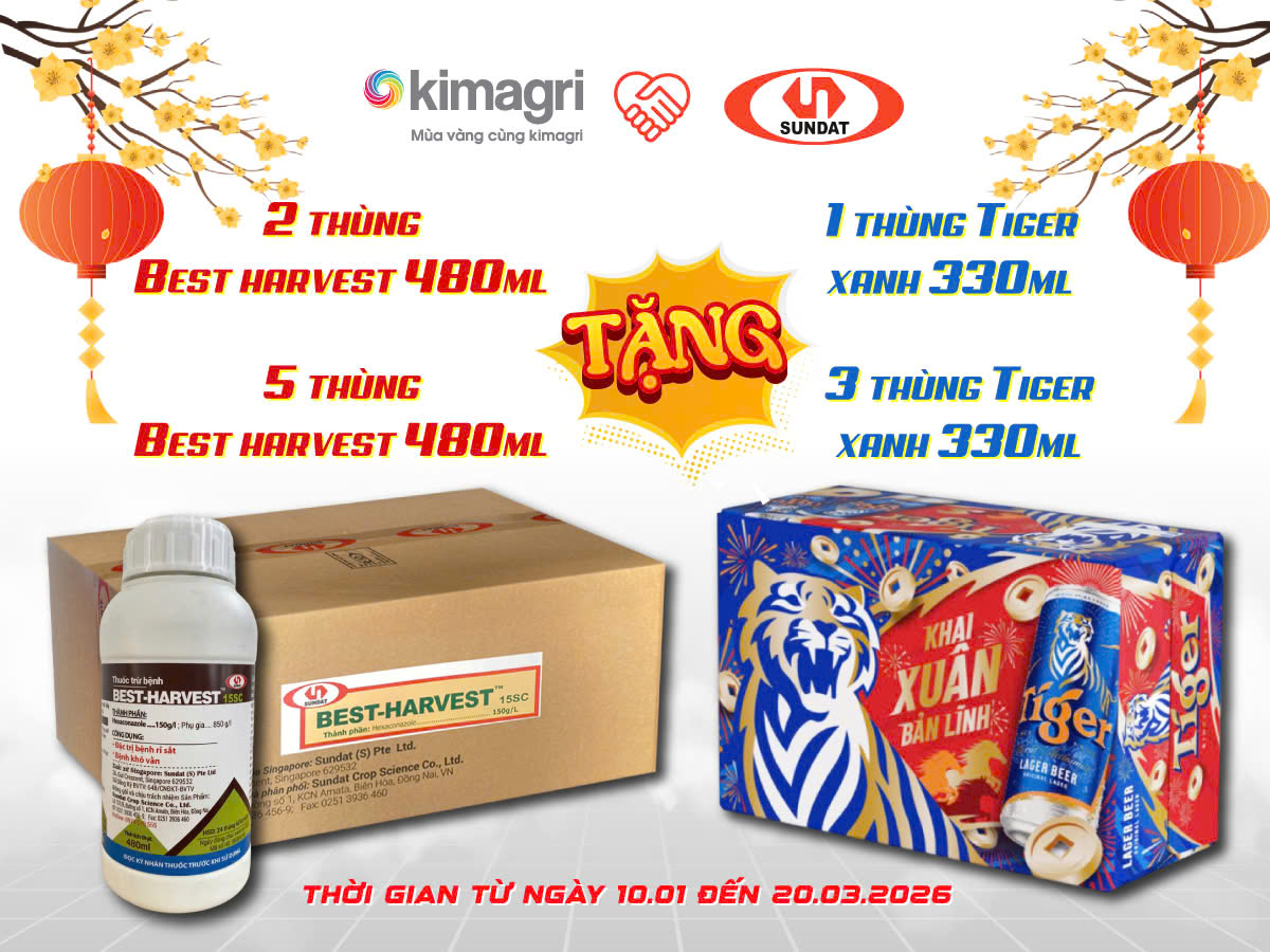 Thiết kế banner quảng cáo, tờ rơi chương trình khuyến mãi cuối năm - Ảnh 4