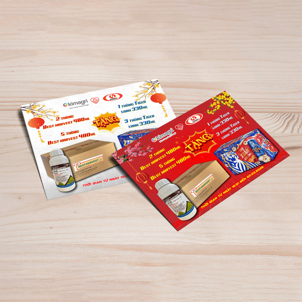 Thiết kế banner quảng cáo, tờ rơi chương trình khuyến mãi cuối năm - Ảnh 5