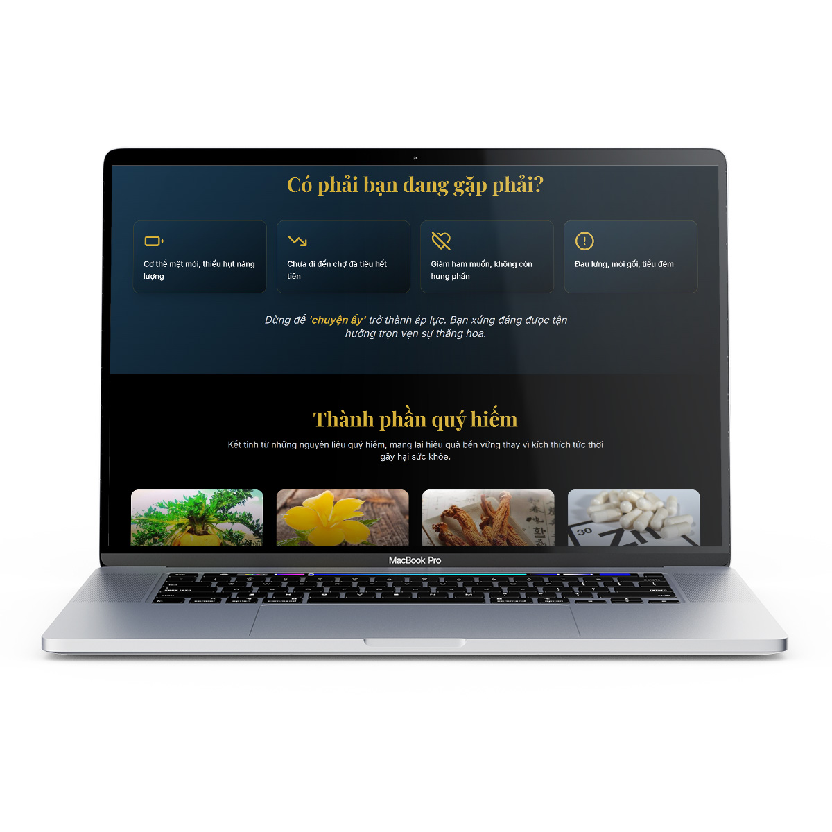 Thiết kế trang web giới thiệu sản phẩm landing page sản phẩm sinh lý nam - Ảnh 2