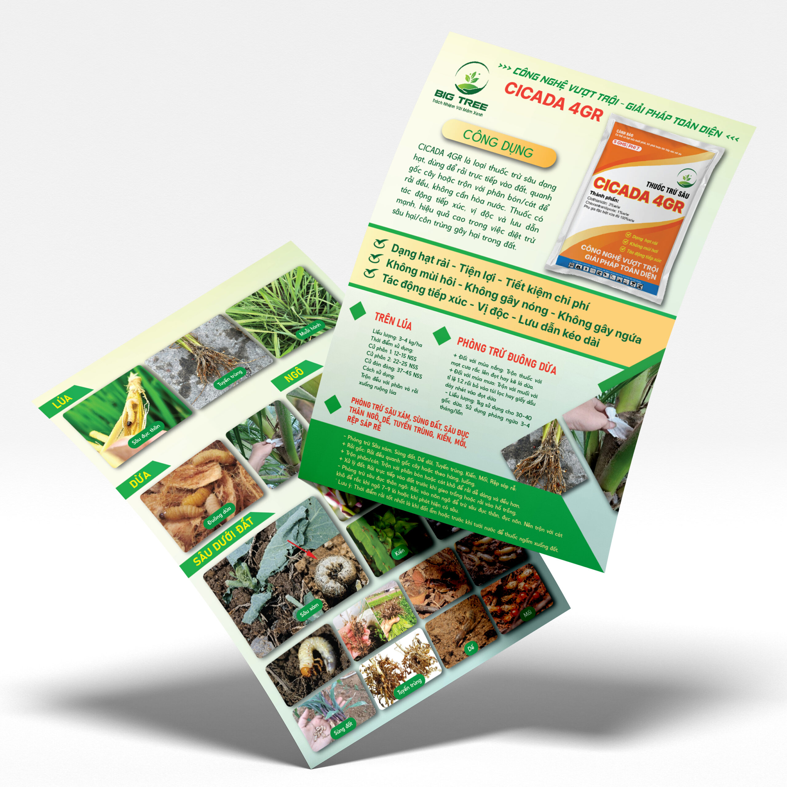 Thiết kế tờ rơi Nông nghiệp hiện đại - Ảnh 2