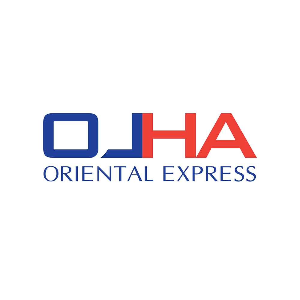 Thiết kế logo công ty vận tải, kho vận, logistics - Ảnh 4