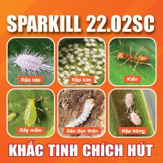 Thiết kế móc chìa khóa vuông, tròn quảng cáo sản phẩm - Ảnh 5