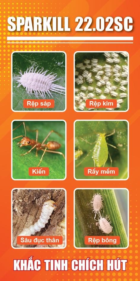 Label tag - nhãn treo chai thuốc trừ sâu, bảo vệ thực vật - Ảnh 4